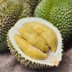 Pentingnya Ekspor Durian