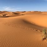Gurun Pasir Terbesar di Dunia