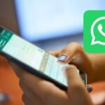 Setting WhatsApp